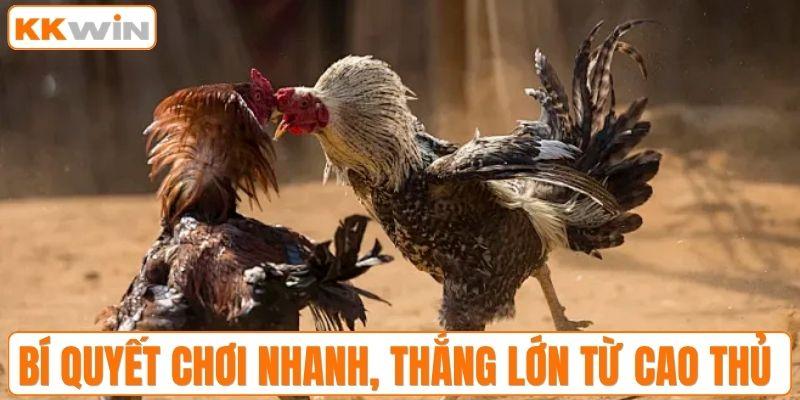 Bí quyết chơi nhanh, thắng lớn từ cao thủ