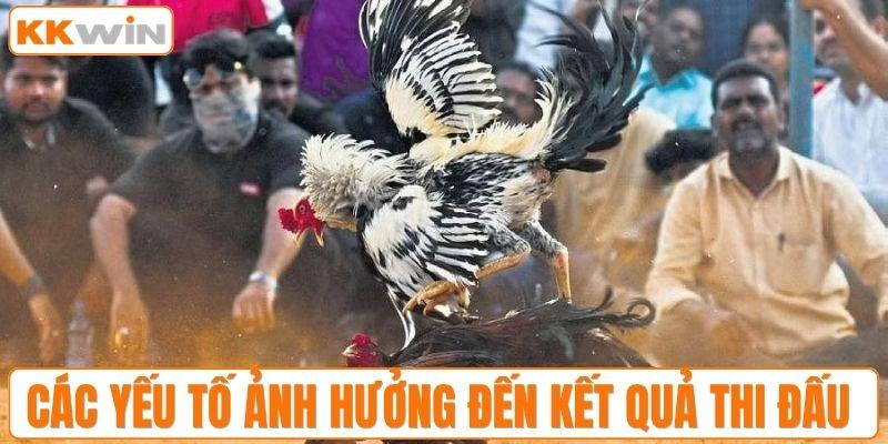 Các yếu tố ảnh hưởng đến kết quả thi đấu