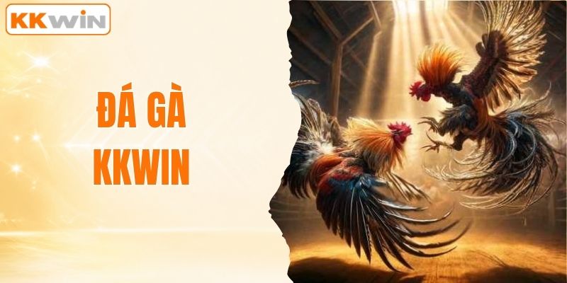 Đá Gà KKWIN - Xem Live Cá Cược Thả Ga 24h Mỗi Ngày