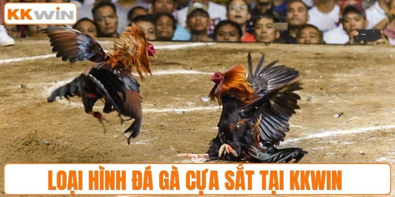 Loại hình đá gà cựa sắt tại KKWIN